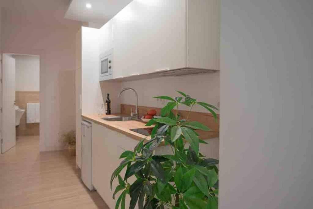 Cocina equipada de Muralla Zirí con acceso al baño