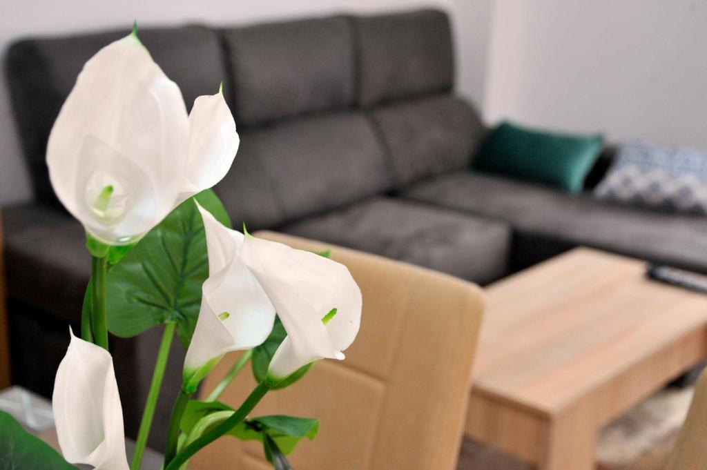 Detalle floral del salón del Apartamento con balcón B